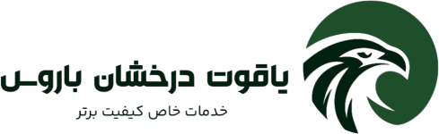 شرکت بازرگانی یاقوت درخشان باروس